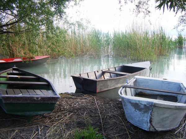 Balaton - Pálköve