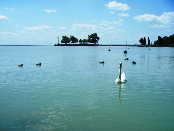 Balaton - Révfülöp