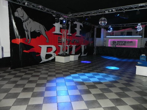 Pit Bull Energy Night Amnezia Club