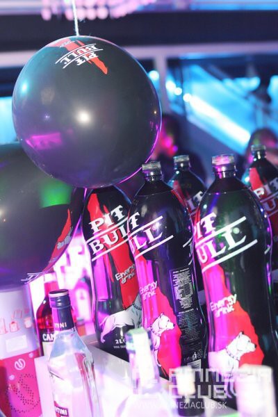Pit Bull Energy Night Amnezia Club