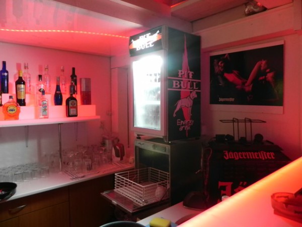 Pit Bull Energy Night Amnezia Club