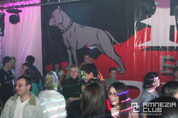 Pit Bull Energy Night Amnezia Club